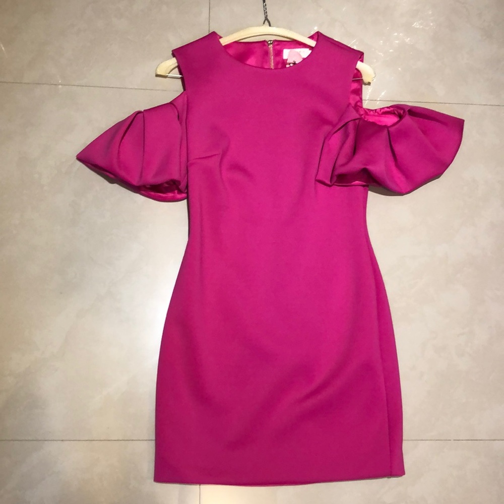 Ted Baker Dress
